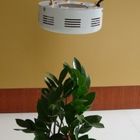 صرفه جویی در انرژی بالا قدرت LED رشد گیاه نور کیت RCG 50W برای گلخانه