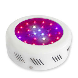 گل LED گیاه رشد نور 3watt رشد با 50000 ساعت طول عمر طولانی