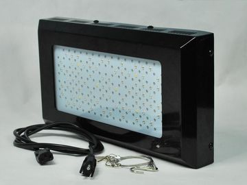 با شدت بالا آبی و قرمز LED گیاه رشد لیق 3watt گیاهی برای داخل سالن روشنایی باغ