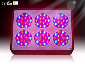 بهترین فروش قدرت بالا LED گیاه رشد نور 383 * 283 * 85MM برای RCAPO6 گلخانه
