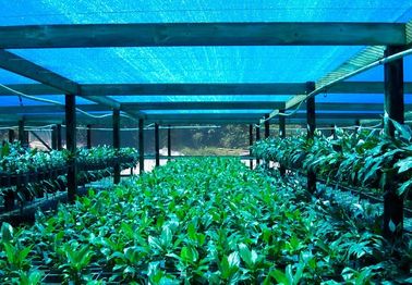 گلخانه سایه خالص، پارچه سایه کشاورزی برای مزرعه گل