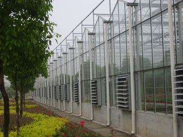 12000mm شیشه ای دهانه گلخانه های تجاری، 4000mm بخش فنلو گلخانه ای