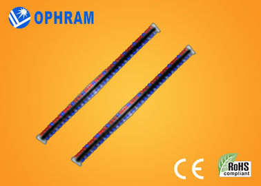 روشنایی بالا و EPISTAR IP65 آبی و قرمز چراغ چراغ رشد با CE / ROHS