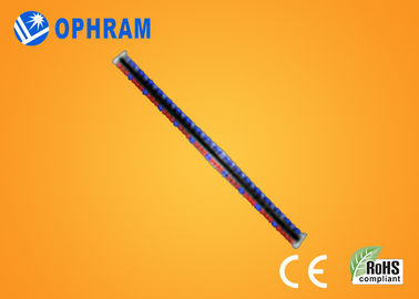 روشنایی بالا و EPISTAR IP65 آبی و قرمز چراغ چراغ رشد با CE / ROHS