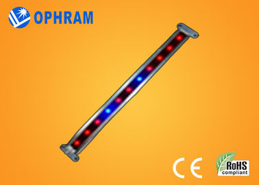 10W SMD 2835 نباتی / گل چراغ چراغ رشد با 180 درجه زاویه پرتو