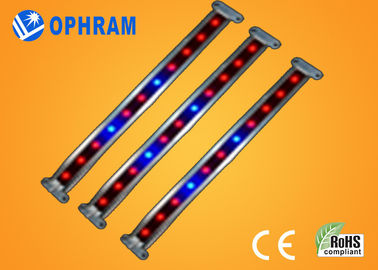 10W SMD 2835 نباتی / گل چراغ چراغ رشد با 180 درجه زاویه پرتو