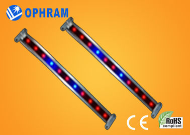 10W SMD 2835 نباتی / گل چراغ چراغ رشد با 180 درجه زاویه پرتو