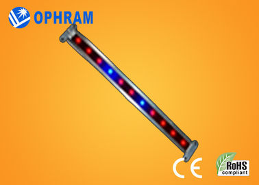10W SMD 2835 نباتی / گل چراغ چراغ رشد با 180 درجه زاویه پرتو