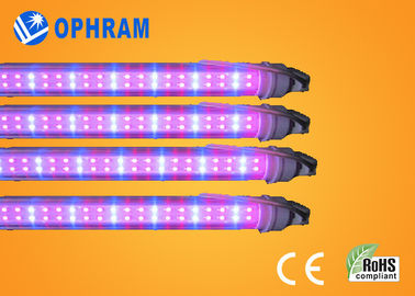 50HZ / 60Hz قدرت 230V / 240V طیف کامل چراغ چراغ رشد گیاهی برای