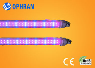 50HZ / 60Hz قدرت 230V / 240V طیف کامل چراغ چراغ رشد گیاهی برای