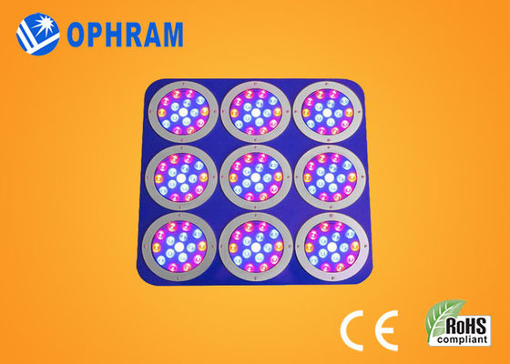 EPISTAR قرمز / آبی طیف کامل چراغ چراغ رشد با مورد فلز