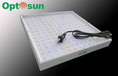 گلخانه / کارخانه های داخل سالن چراغ در حال رشد 6 متر مربع 28W