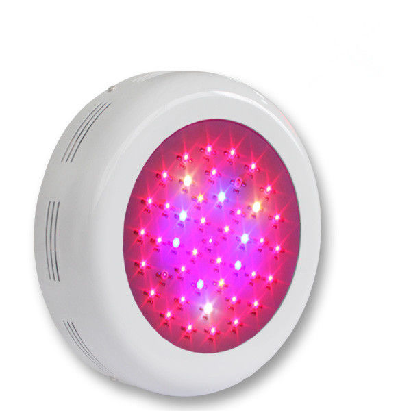 کامل اسپکتروم کارخانه نور IP65 100 LM / W 2700 - 6500K، داخل سالن نور چراغ پرورش